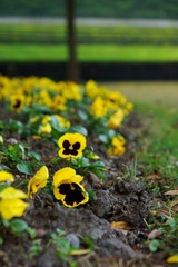 DSC01577.JPG
