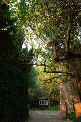 DSC01584.JPG