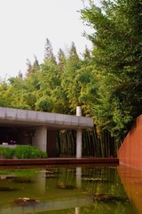 DSC01607.JPG