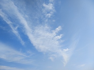 D71ABAE4-BD13-4771-8AF1-0C1C5ECCB5C3/L0/001