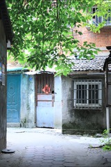 102CC1CF-2DBC-4845-B652-A30D87E28328/L0/001