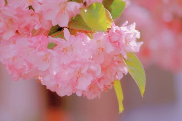 9F7214D3-A865-4074-81FF-7D09D67F688A/L0/001