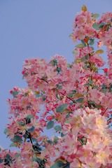 28CBFDDF-886F-4F5F-BCB3-0AB9BE206B7A/L0/001