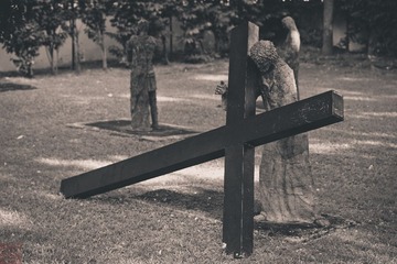 HE9A0610.jpg