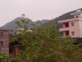 2549932