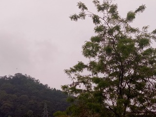 2549968