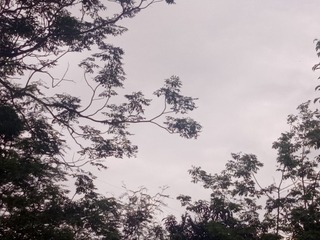 2574944