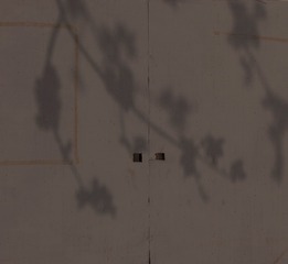 2176663