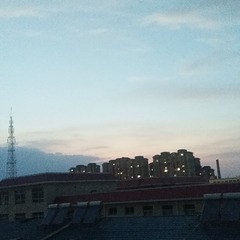 118629