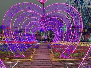 16282055-5D2C-4035-86E5-E4E96EBFEFDD/L0/001
