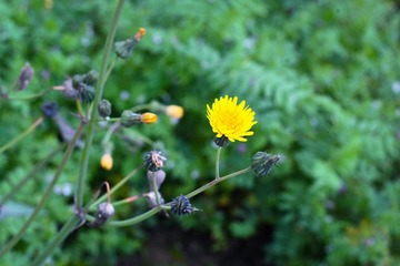 996B1CE9-499C-4BC2-BD00-01E9D7725C4D/L0/001