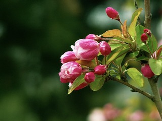 70F79AC4-1A5B-478E-9833-BBED6F3E01CD/L0/001