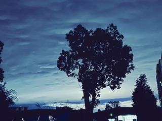 C63C4663-A805-4BBA-944F-FFE34B38B6BC/L0/001