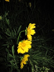 4861AA45-3EB8-44DA-A97E-CC0B232981BF/L0/001