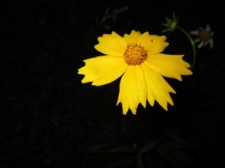4F9DF465-46BF-4A39-BEC8-9554DC93F84B/L0/001
