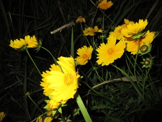 D34DE5ED-5D3D-412E-94A5-24B56F67DE9F/L0/001