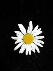 D0F9684A-A1FC-409C-9864-627FB9C0E150/L0/001