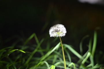 A66D164F-B847-47F1-916C-72488F72B711/L0/001