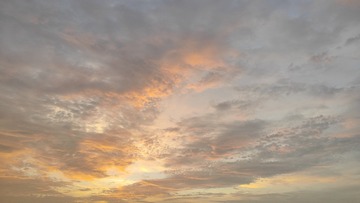 1000021333