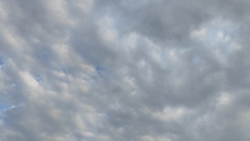 1000022788