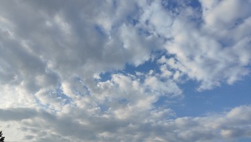 1000022787