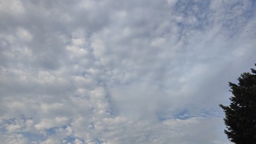 1000020807