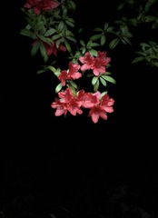 7BE4034E-E4C8-4C2F-B842-D4C3D651D6A7/L0/001