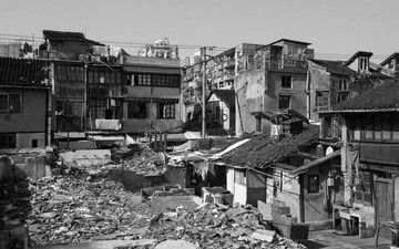 DSC00973-1.jpg