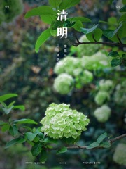 5A391A71-54F8-4E17-B7B8-44954DBC99FD/L0/001