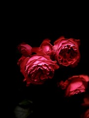 8FB4DD2D-D892-4954-A4B6-62C34F9075B9/L0/001