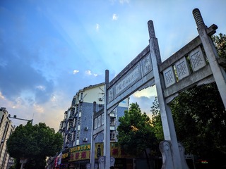 1000020521