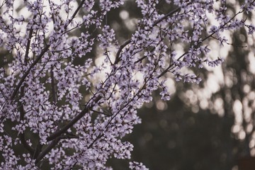 73622E48-ED99-4DB6-B020-30FFF8FC17C6/L0/001