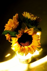 65D23CB8-E988-4032-9CB6-349E97D0B27D/L0/001