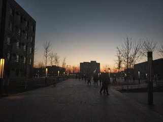501846