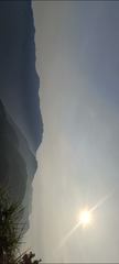 1000038361