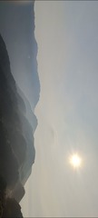 1000038367