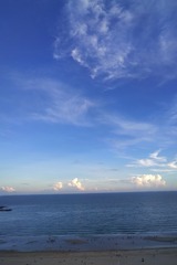 5D39018A-9E18-408E-BB33-D6A7EB15E58C/L0/001