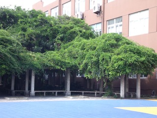 49F1BFC5-2087-4A03-80ED-57355FBE99CA/L0/001