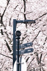 2E2478EC-840A-41FC-B40A-28FAA5F6DC88/L0/001