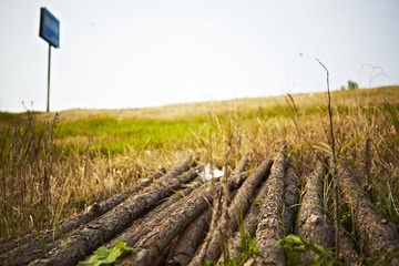 _MG_55222030710528.jpg