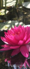 1000081655