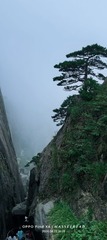 1000074971