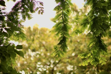 C82870EA-6C73-4D0A-B631-3CFAB37A2A75/L0/001