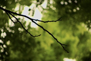 15676E5D-B590-4545-96B8-585064086A75/L0/001