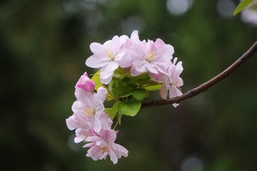 9E0A5BB8-8A09-4302-B9BE-C57063200895/L0/001