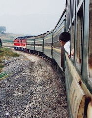 37276