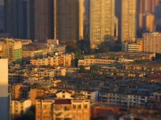 1000034261