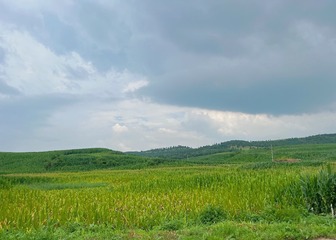 8473F897-0A09-4ABB-9432-F3C0D31C7A49/L0/001
