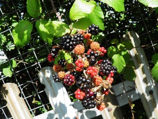 nEO_IMG_PA130022.jpg