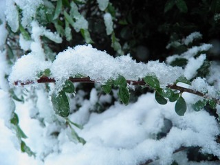 PC310012.JPG